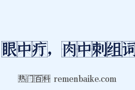 眼中疔，肉中刺组词是什么意思的图片